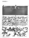 Fig. 04 - Methods and compositions for promoting organ development
