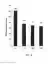 Fig. 06 - Biodegradable cross-linked cationic multi-block copolymers for gene delivery and methods of making thereof