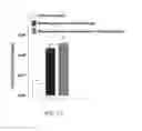 Fig. 13 - Biodegradable cross-linked cationic multi-block copolymers for gene delivery and methods of making thereof