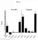 Fig. 11 - Tetrameric cytokines with improved biological activity