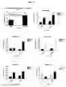 Fig. 12 - Tetrameric cytokines with improved biological activity