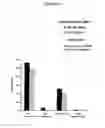 Fig. 12 - Triazines And Related Compounds Having Antiviral Activity, Compositions And Methods Thereof