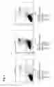 Fig. 07 - COMPOSITIONS FOR BACTERIAL MEDIATED GENE SILENCING AND METHODS OF USING THE SAME