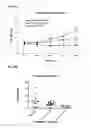 Fig. 11 - COMPOSITIONS FOR BACTERIAL MEDIATED GENE SILENCING AND METHODS OF USING THE SAME
