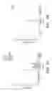 Fig. 12 - VENTRICULAR INDUCED PLURIPOTENT STEM (ViPS) CELLS FOR GENERATION OF AUTOLOGOUS VENTRICULAR CARDIOMYOCYTES AND USES THEREOF