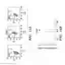 Fig. 20 - VENTRICULAR INDUCED PLURIPOTENT STEM (ViPS) CELLS FOR GENERATION OF AUTOLOGOUS VENTRICULAR CARDIOMYOCYTES AND USES THEREOF
