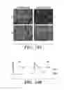 Fig. 27 - VENTRICULAR INDUCED PLURIPOTENT STEM (ViPS) CELLS FOR GENERATION OF AUTOLOGOUS VENTRICULAR CARDIOMYOCYTES AND USES THEREOF
