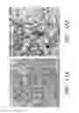 Fig. 08 - Biocompatible substrate for facilitating interconnections between stem cells and target tissues and methods for implanting same