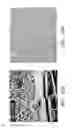 Fig. 12 - Biocompatible substrate for facilitating interconnections between stem cells and target tissues and methods for implanting same