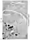 Fig. 26 - Biocompatible substrate for facilitating interconnections between stem cells and target tissues and methods for implanting same