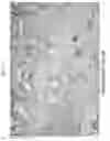 Fig. 28 - Biocompatible substrate for facilitating interconnections between stem cells and target tissues and methods for implanting same