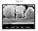 Fig. 29 - Biocompatible substrate for facilitating interconnections between stem cells and target tissues and methods for implanting same
