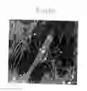 Fig. 08 - Neural precursor cells produced from bone marrow stromal cells containing an exogenous nucleic acid encoding a notch intracellular domain (NICD)