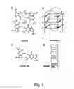 Fig. 02 - Method of treating inflammatory lung disease with suppressors of CpG oligonucleotides
