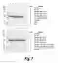 Fig. 05 - Methods and compositions for CNS delivery of arylsulfatase A