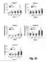 Fig. 19 - Methods and compositions for CNS delivery of arylsulfatase A