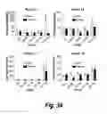 Fig. 20 - Methods and compositions for CNS delivery of arylsulfatase A