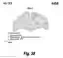 Fig. 24 - Methods and compositions for CNS delivery of arylsulfatase A