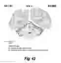Fig. 29 - Methods and compositions for CNS delivery of arylsulfatase A