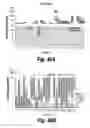Fig. 34 - Methods and compositions for CNS delivery of arylsulfatase A
