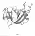 Fig. 03 - Cytotoxic ribonuclease variants