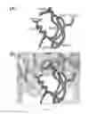 Fig. 04 - Cytotoxic ribonuclease variants