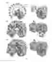Fig. 07 - Cytotoxic ribonuclease variants