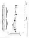 Fig. 07 - METHOD FOR TREATING AGE-RELATED MACULAR DEGENERATION