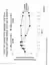 Fig. 09 - METHOD FOR TREATING AGE-RELATED MACULAR DEGENERATION