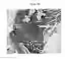 Fig. 05 - METHODS OF TREATING BONE-LOSS DISORDERS USING A GM-CSF ANTAGONIST
