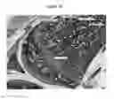 Fig. 06 - METHODS OF TREATING BONE-LOSS DISORDERS USING A GM-CSF ANTAGONIST