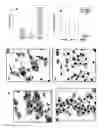 Fig. 01 - Method of treating cancer and/or cellular proliferative conditions and agents targeting hyaluronan anabolism useful for same