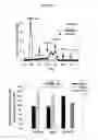 Fig. 03 - Method of treating cancer and/or cellular proliferative conditions and agents targeting hyaluronan anabolism useful for same