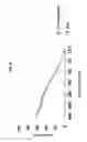 Fig. 08 - Antibodies to endoplasmin and their use