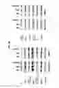 Fig. 19 - Antibodies to endoplasmin and their use
