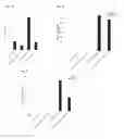 Fig. 12 - Depletion of cancer stem cells
