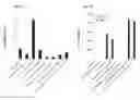 Fig. 13 - Depletion of cancer stem cells