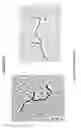 Fig. 23 - Double-stranded ribonucleic acids with rugged physico-chemical structure and highly specific biologic activity