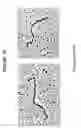 Fig. 25 - Double-stranded ribonucleic acids with rugged physico-chemical structure and highly specific biologic activity