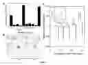 Fig. 04 - Complete human monoclonal IgG4lambda specific for CTLA-4 and uses thereof for detection of soluble CTLA-4 and isolation of regulatory cells