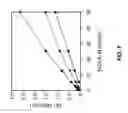 Fig. 06 - Complete human monoclonal IgG4lambda specific for CTLA-4 and uses thereof for detection of soluble CTLA-4 and isolation of regulatory cells