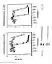 Fig. 04 - BIMER OR AN OLIGOMER OF A DIMER, TRIMER, QUADROMER OR PENTAMER OF RECOMBINANT FUSION PROTEINS