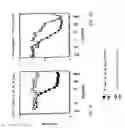 Fig. 05 - BIMER OR AN OLIGOMER OF A DIMER, TRIMER, QUADROMER OR PENTAMER OF RECOMBINANT FUSION PROTEINS