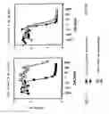 Fig. 07 - BIMER OR AN OLIGOMER OF A DIMER, TRIMER, QUADROMER OR PENTAMER OF RECOMBINANT FUSION PROTEINS