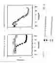 Fig. 08 - BIMER OR AN OLIGOMER OF A DIMER, TRIMER, QUADROMER OR PENTAMER OF RECOMBINANT FUSION PROTEINS