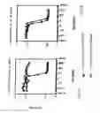 Fig. 12 - BIMER OR AN OLIGOMER OF A DIMER, TRIMER, QUADROMER OR PENTAMER OF RECOMBINANT FUSION PROTEINS