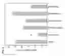 Fig. 03 - Low antigen-dose immunization for maximizing T-helper cell 1 (Th1) immunity against a pathogen