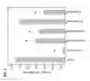Fig. 06 - Low antigen-dose immunization for maximizing T-helper cell 1 (Th1) immunity against a pathogen
