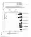 Fig. 09 - Low antigen-dose immunization for maximizing T-helper cell 1 (Th1) immunity against a pathogen