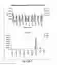 Fig. 29 - MODULATION OF THE IMMUNE RESPONSE